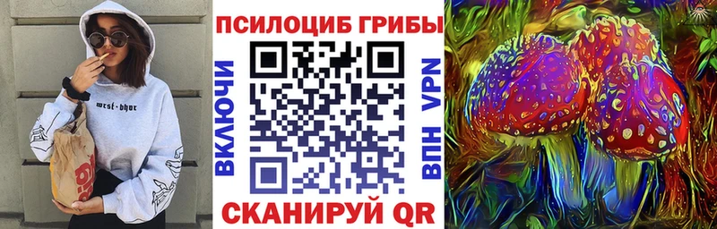 продажа наркотиков  Горячий Ключ  Галлюциногенные грибы Psilocybine cubensis 
