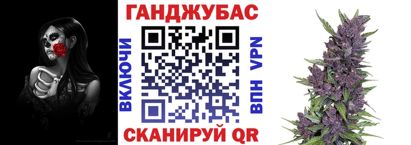 где купить наркоту  Горячий Ключ  мориарти официальный сайт  Каннабис сатива 